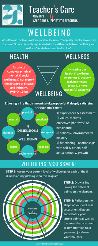 Erika Kruger SomaSense Self-care Skills for Teachers #20 Wellbeing assessment